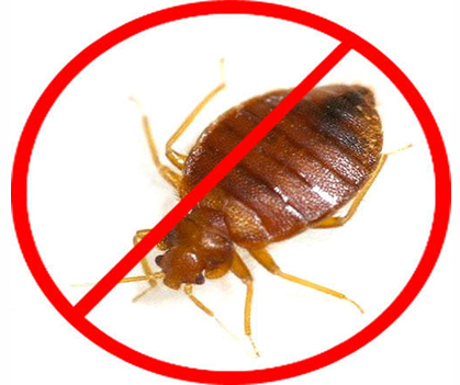 Bedbug control - 